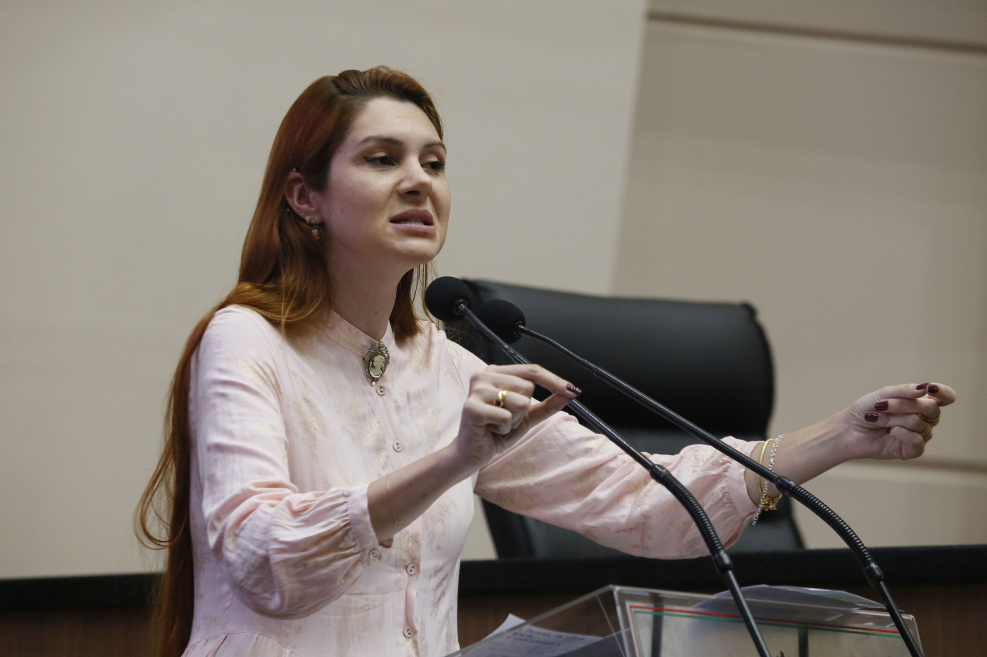 - Deputada Ana Caroline Campagnolo (PL)