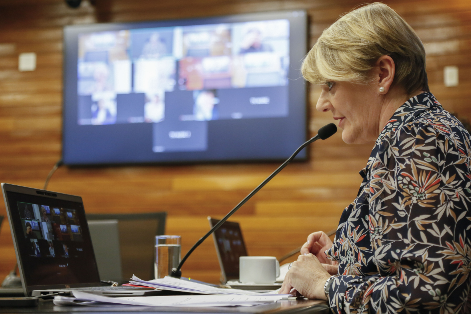 - Deputada Luciane Carminatti (PT)
