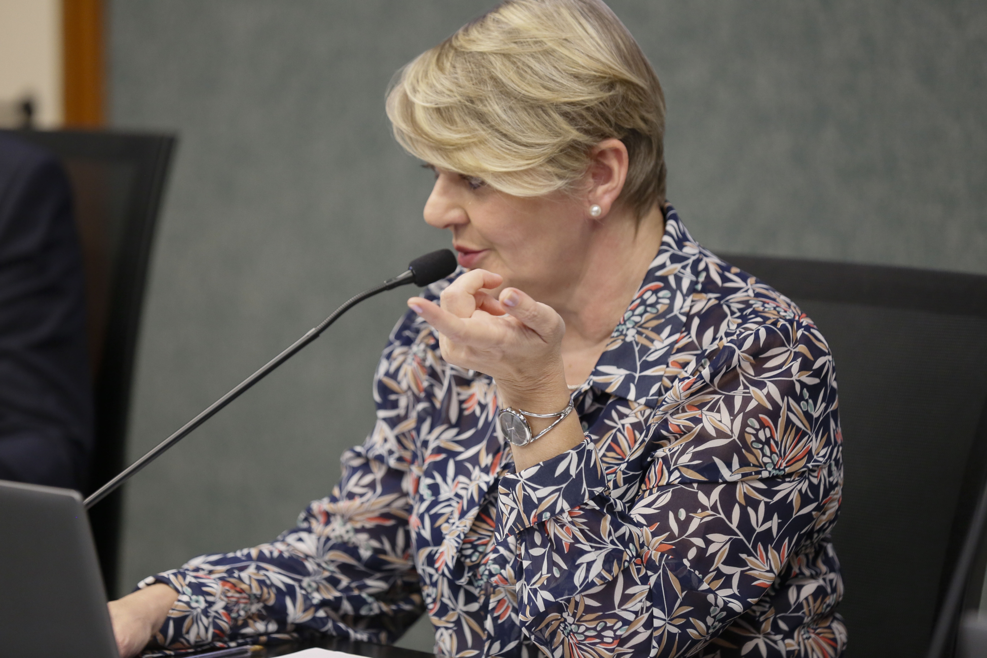 - Deputada Luciane Carminatti (PT)