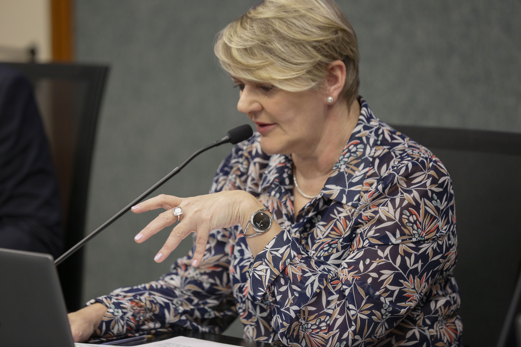 - Deputada Luciane Carminatti (PT)
