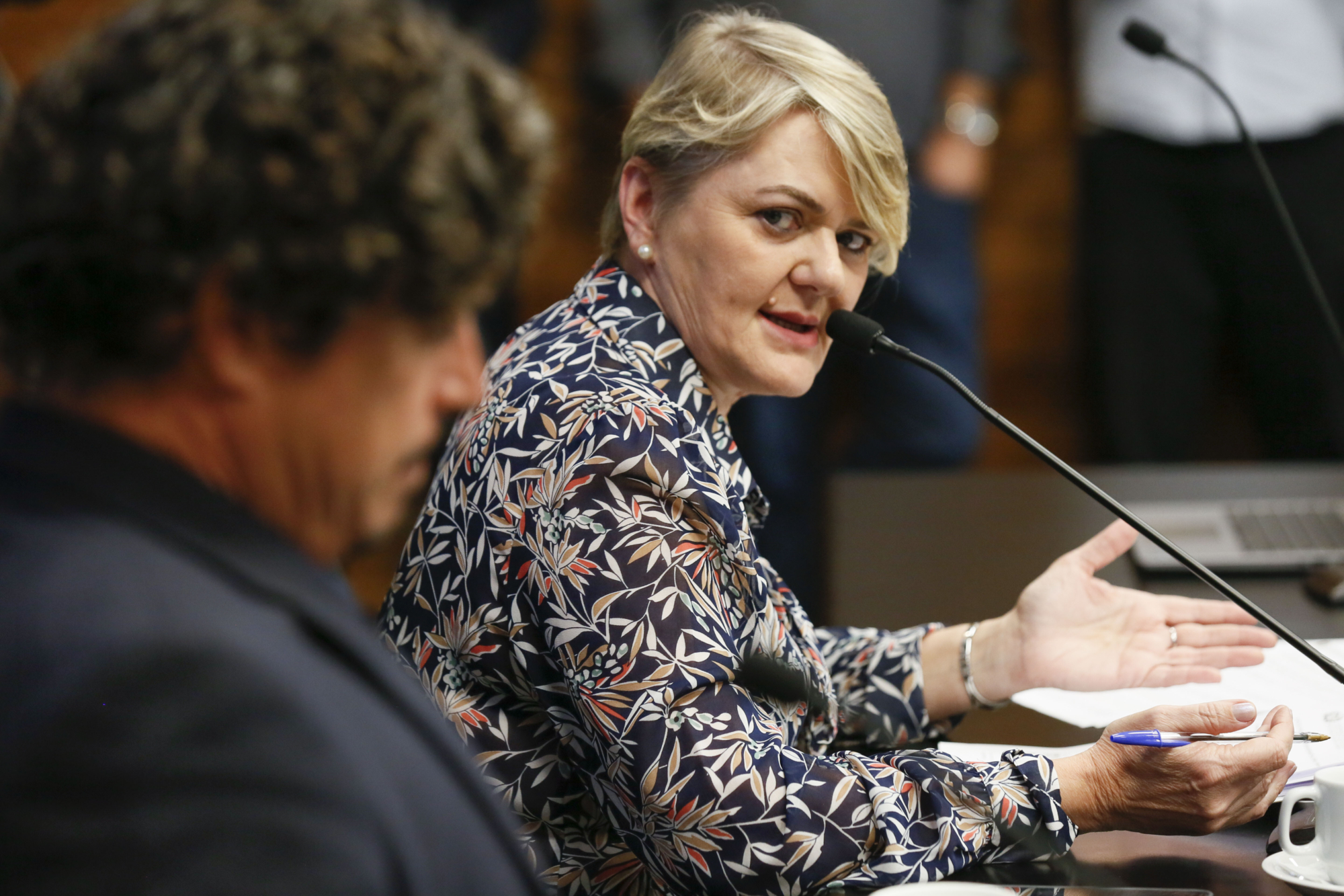 - Deputada Luciane Carminatti (PT)