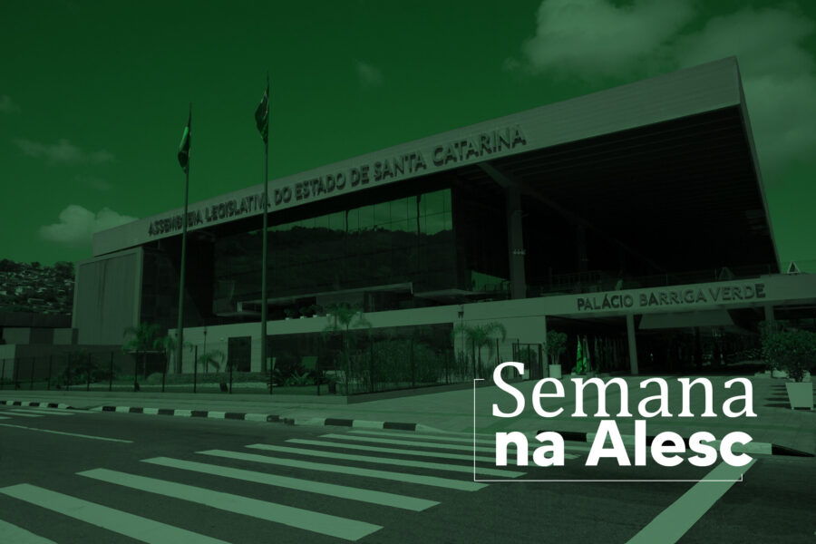 Semana na Alesc aborda educação para indígenas, causa animal e inteligência artificial