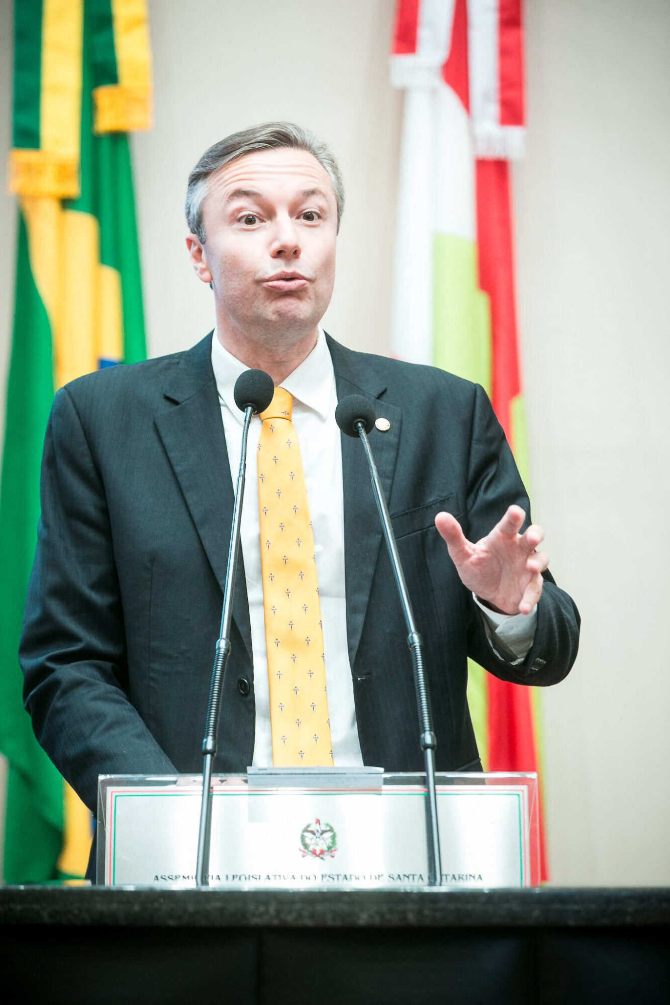 - Deputado Napoleão Bernardes (PSD)