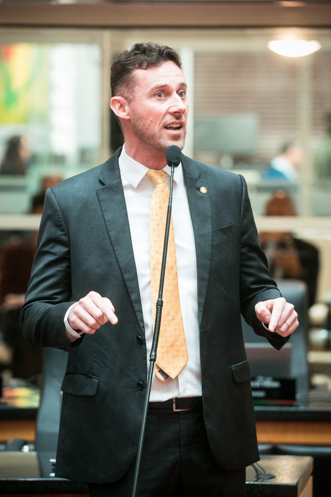 - Deputado Fernando Krelling (MDB)