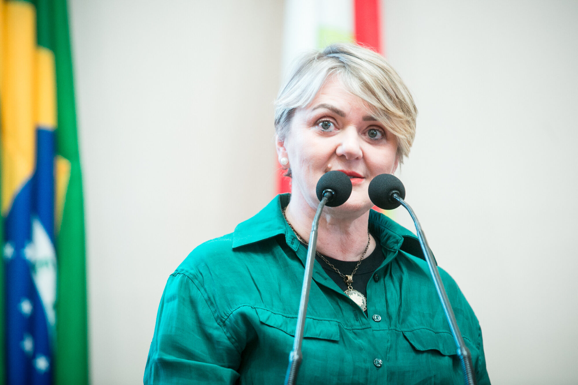 - Deputada Luciane Carminatti (PT)