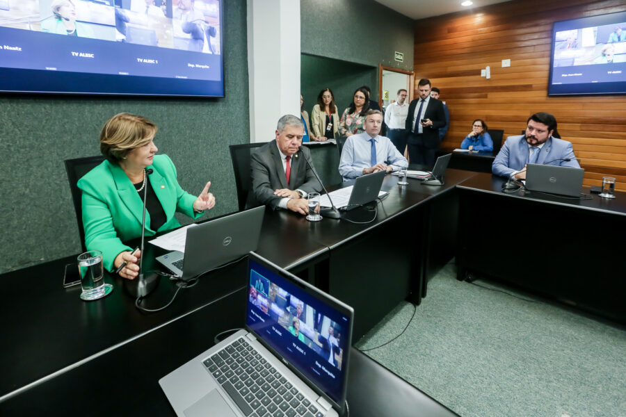 Comissão de Educação e Cultura, que se reuniu na tarde desta quarta (4)