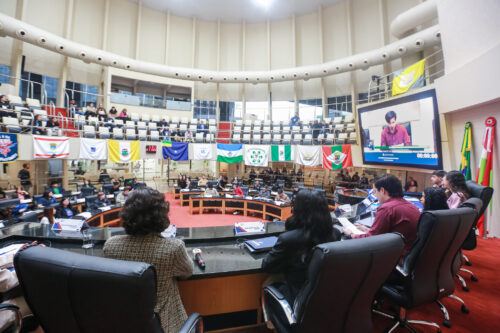 Deputados jovens aprovam incluir manguezais em áreas de interesse ecológico