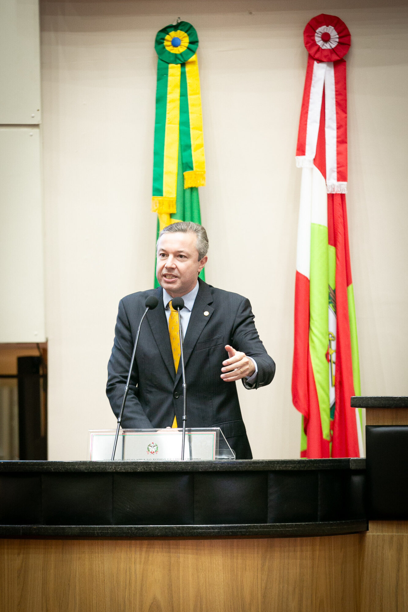 - Deputado Napoleão Bernardes (PSD)