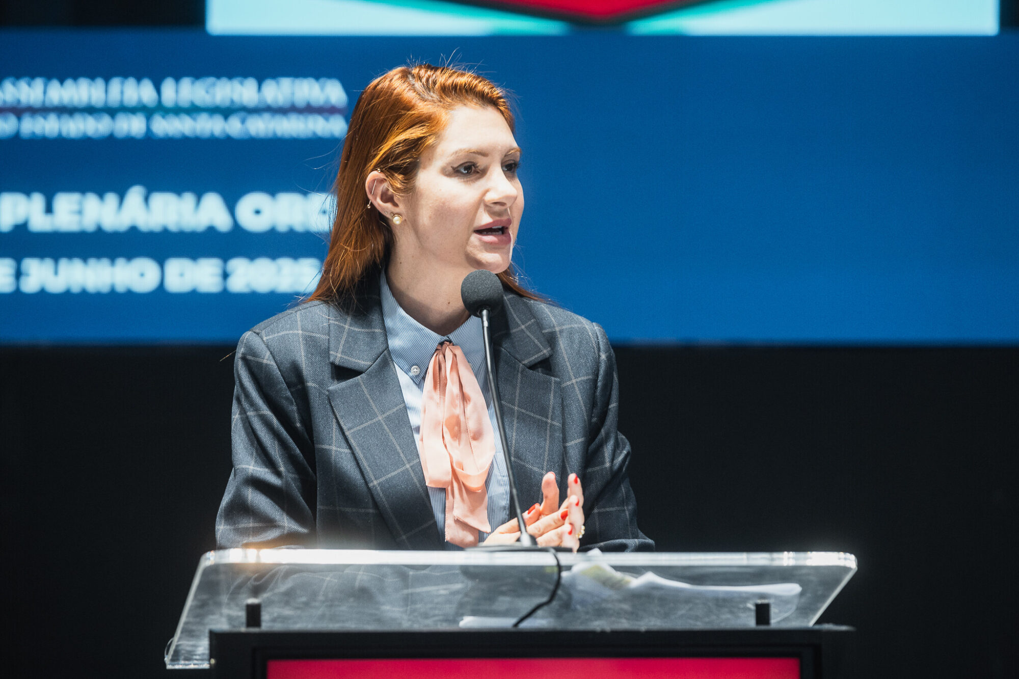 - Deputada Ana Campagnolo (PL)