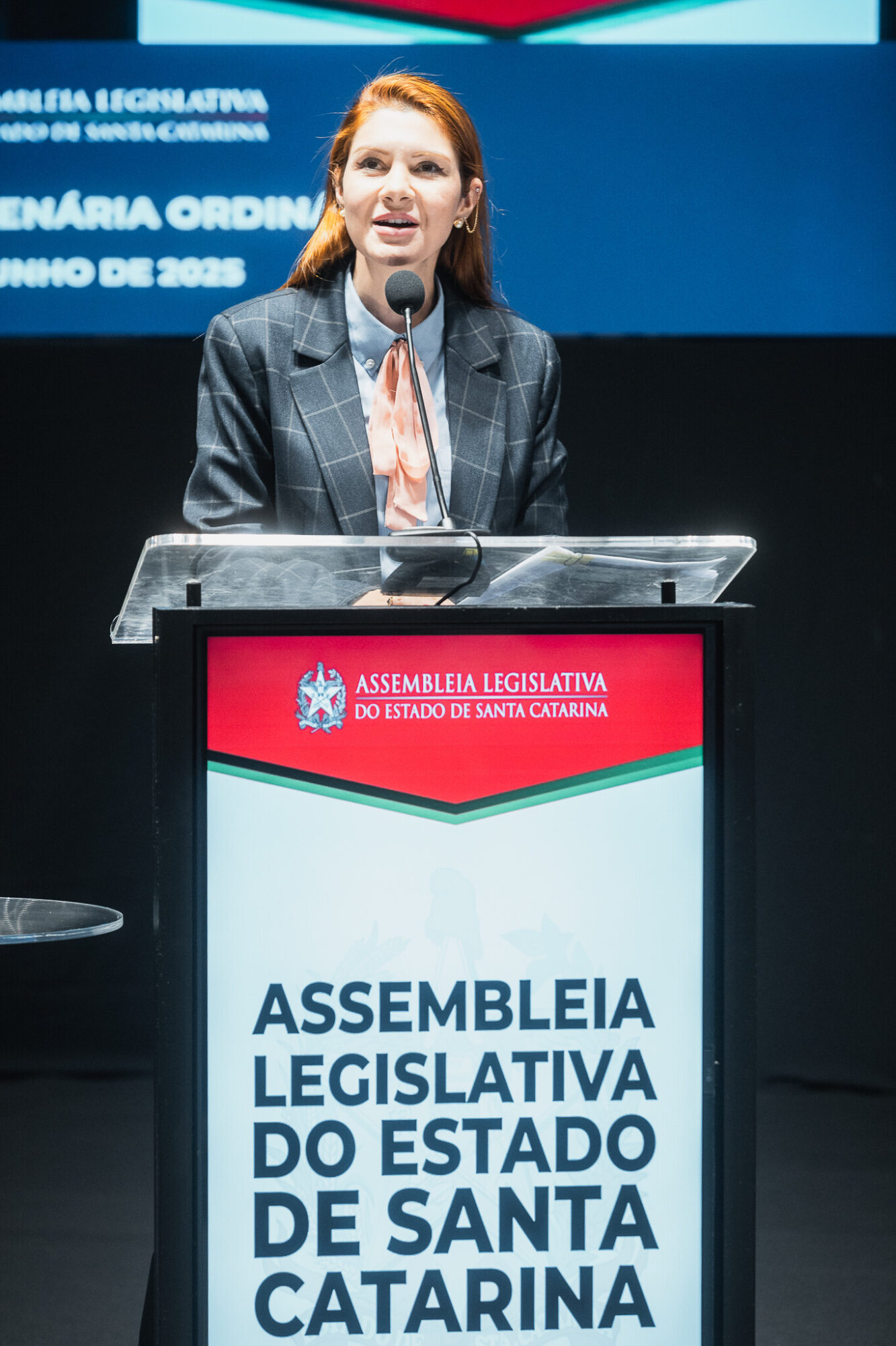 - Deputada Ana Campagnolo (PL)