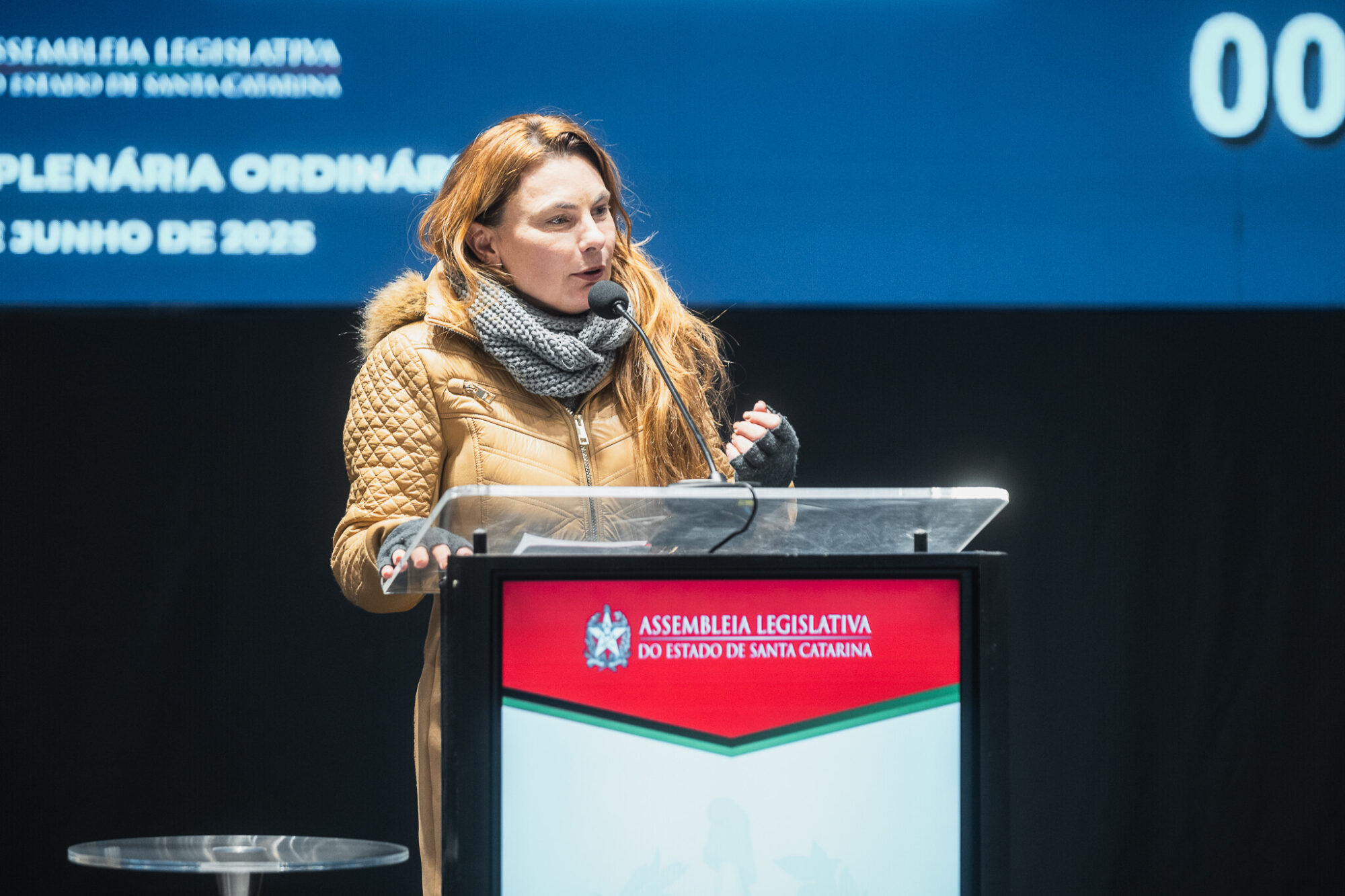 - Deputada Paulinha (Podemos)
