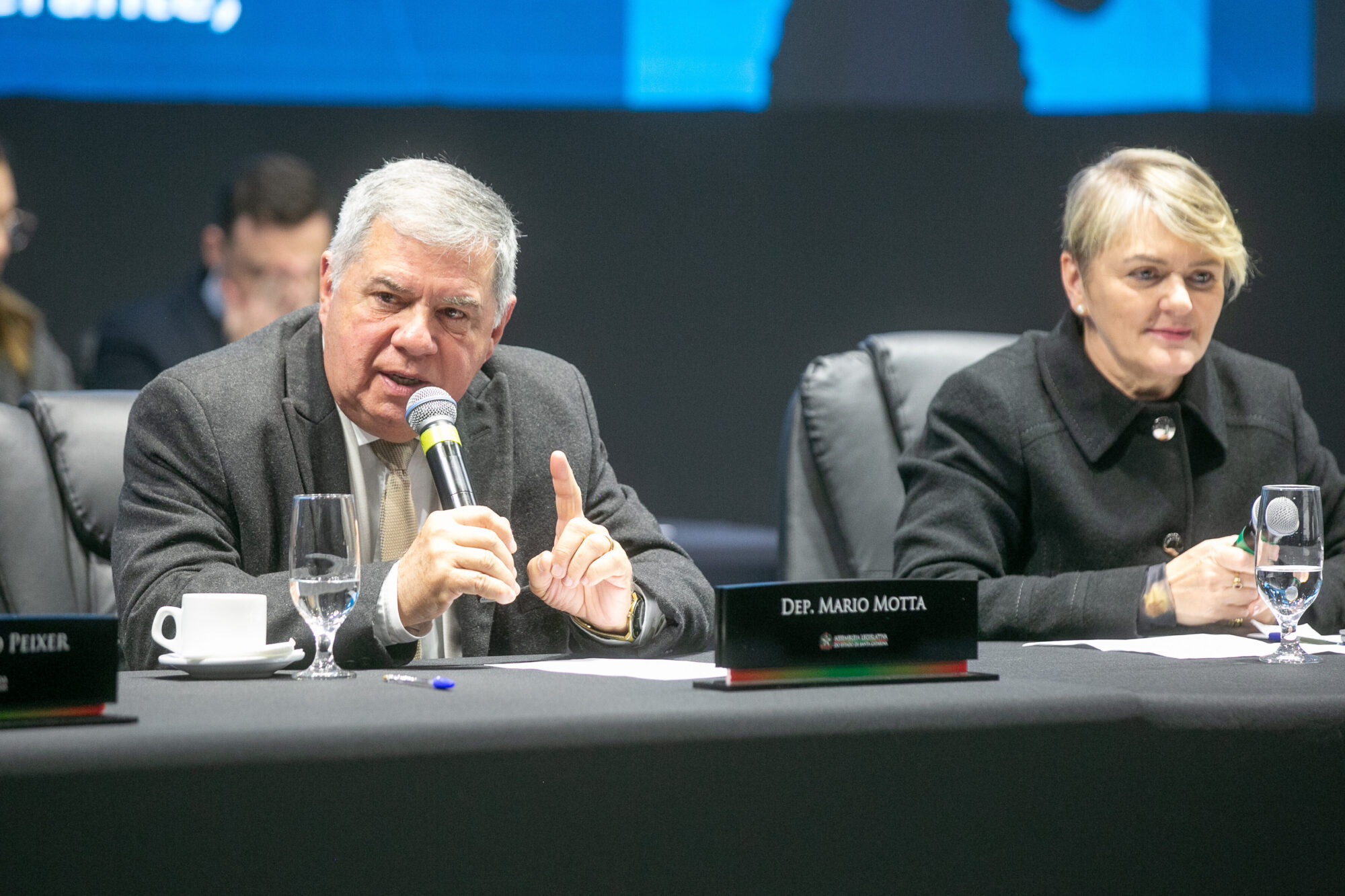 - Deputado Mário Motta (PSD)
 - Deputada Luciane Carminatti (PT)