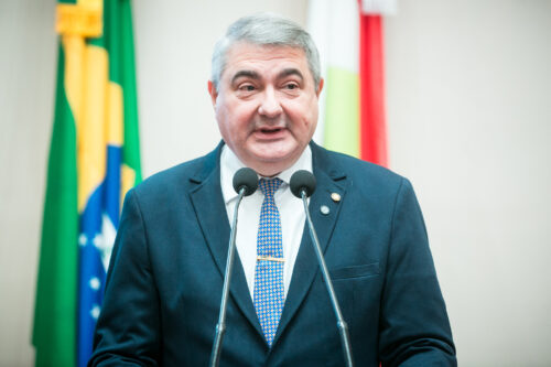 Sessão tem retorno da ideia de separar SC e defesa de escolas sustentáveis