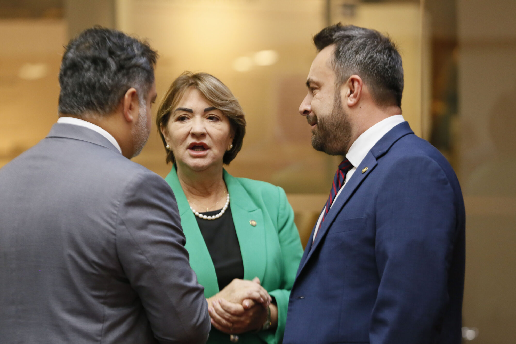 -Deputado Thiago Morastoni (Podemos)-Deputada Janice Krasniak(Podemos)- Deputado Marcius Machado (PL)
