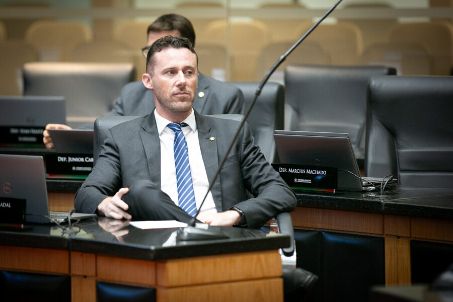 Deputado Fernando Krelling