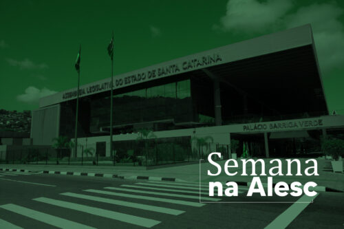 Semana na Alesc tem destaque para educação, saúde, bem estar e proteção animal