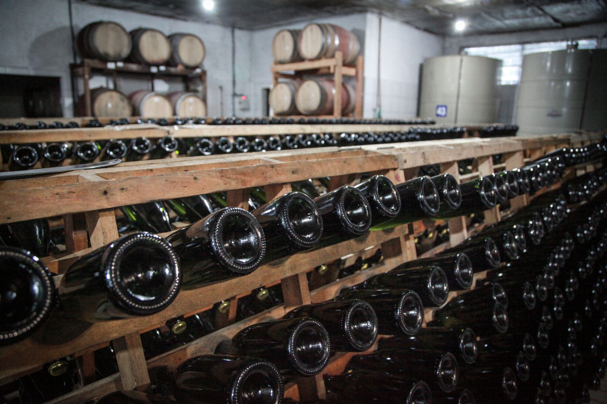 Vinicola San Michele, em Rodeio