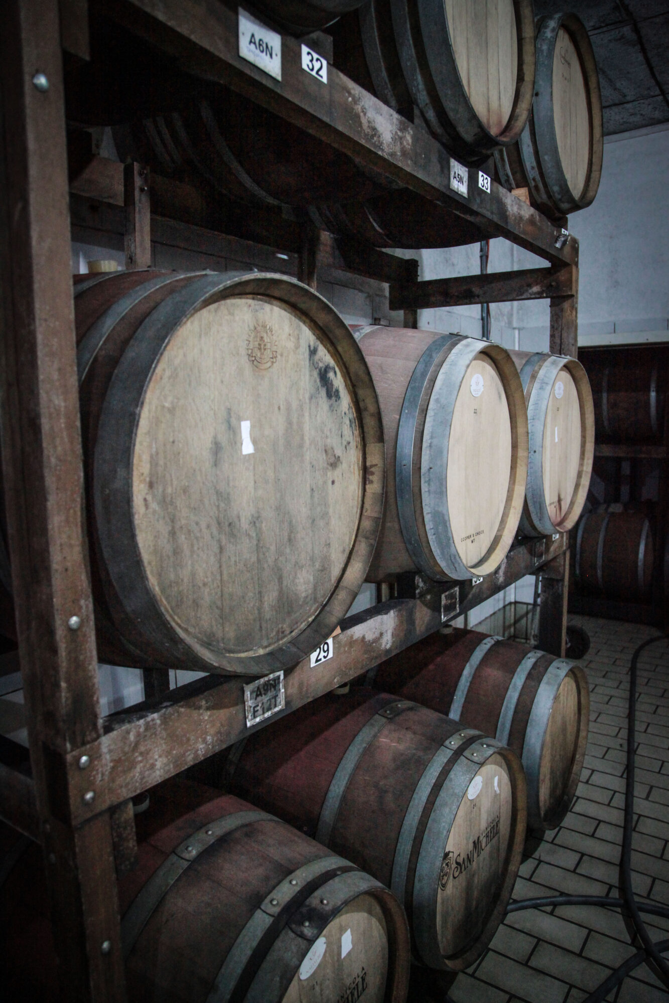 Vinicola San Michele, em Rodeio