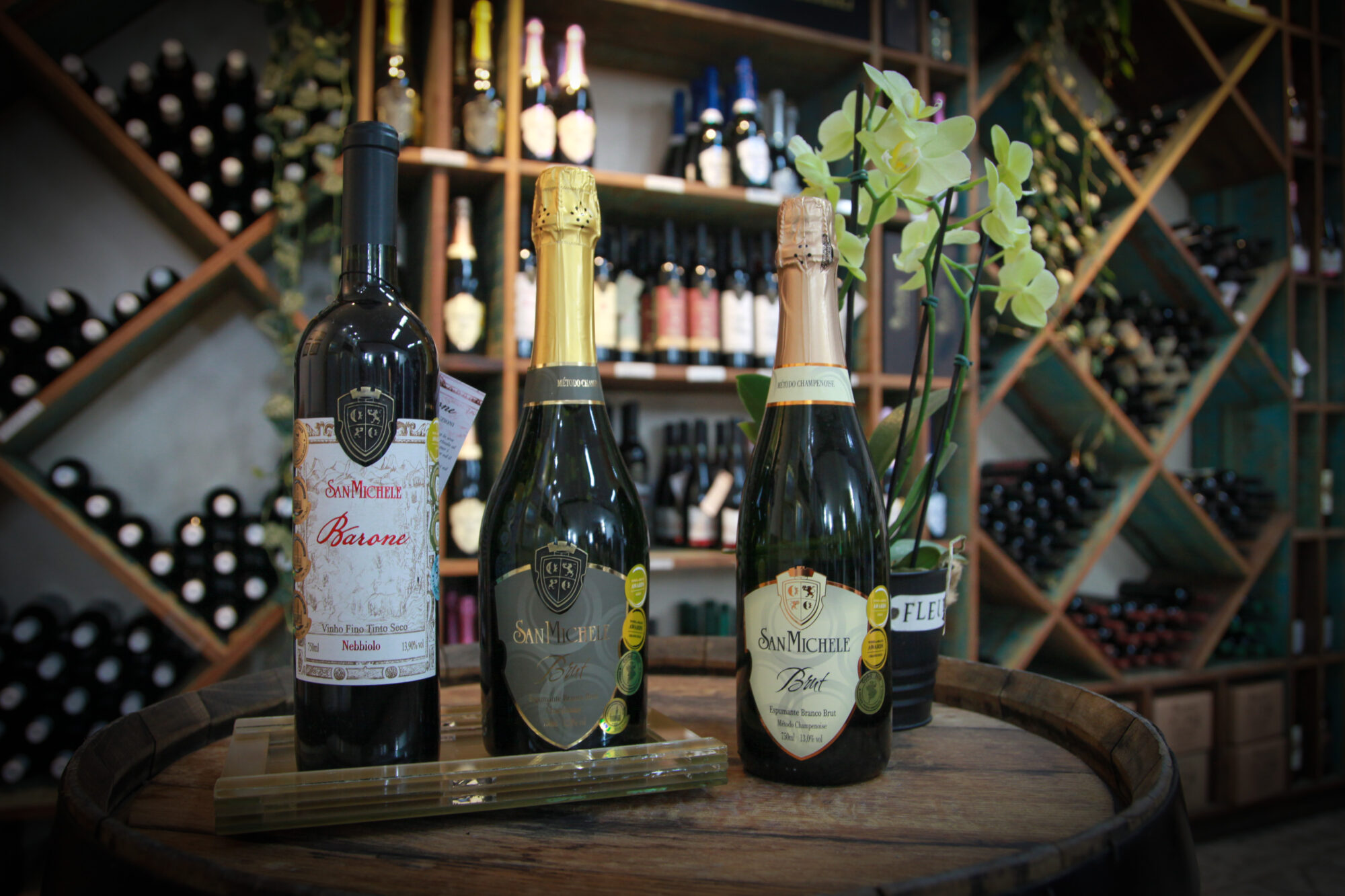 Marcelo Sardagna e Sionei Furlani - Vinicola San Michele, em Rodeio