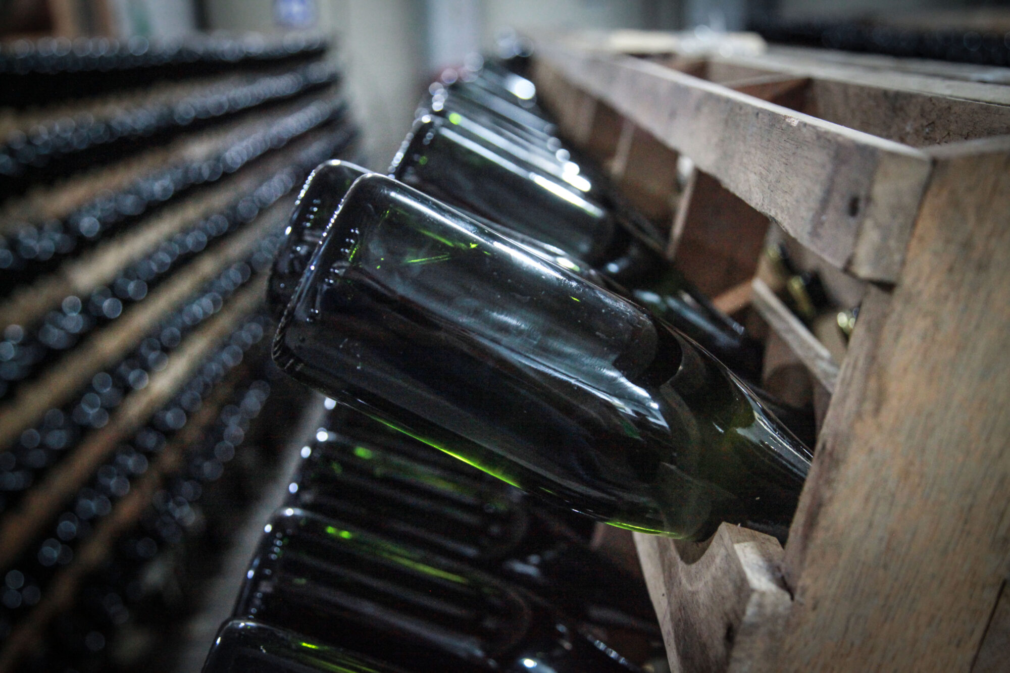 Vinicola San Michele, em Rodeio