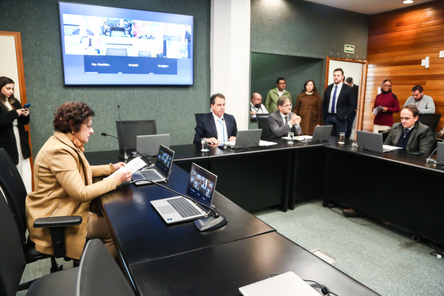 Comissão de Defesa da Criança e do Adolescente, em reunião na tarde desta quarta-feira (2)