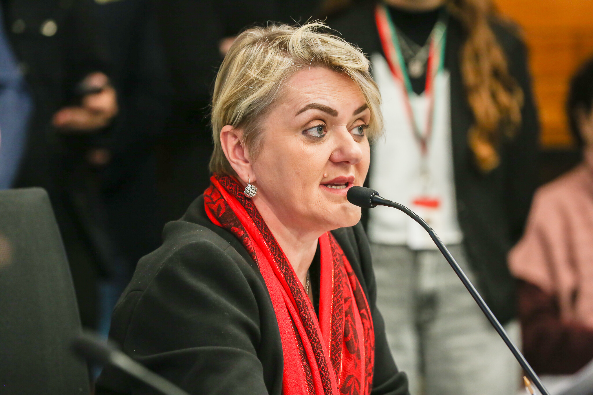 - Deputada Luciane Carminatti (PT)