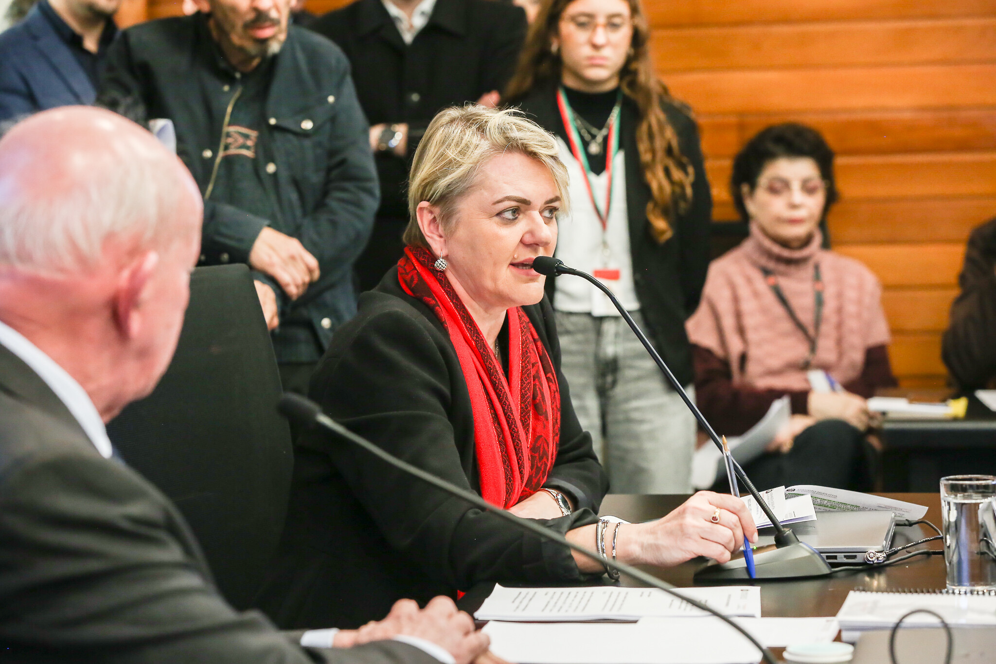 - Deputada Luciane Carminatti (PT)