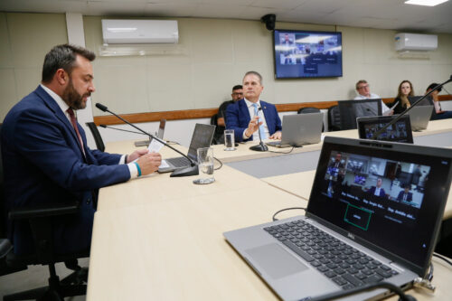 Comissão aprova projeto que determina criação de estruturas para proteger animais em rodovias