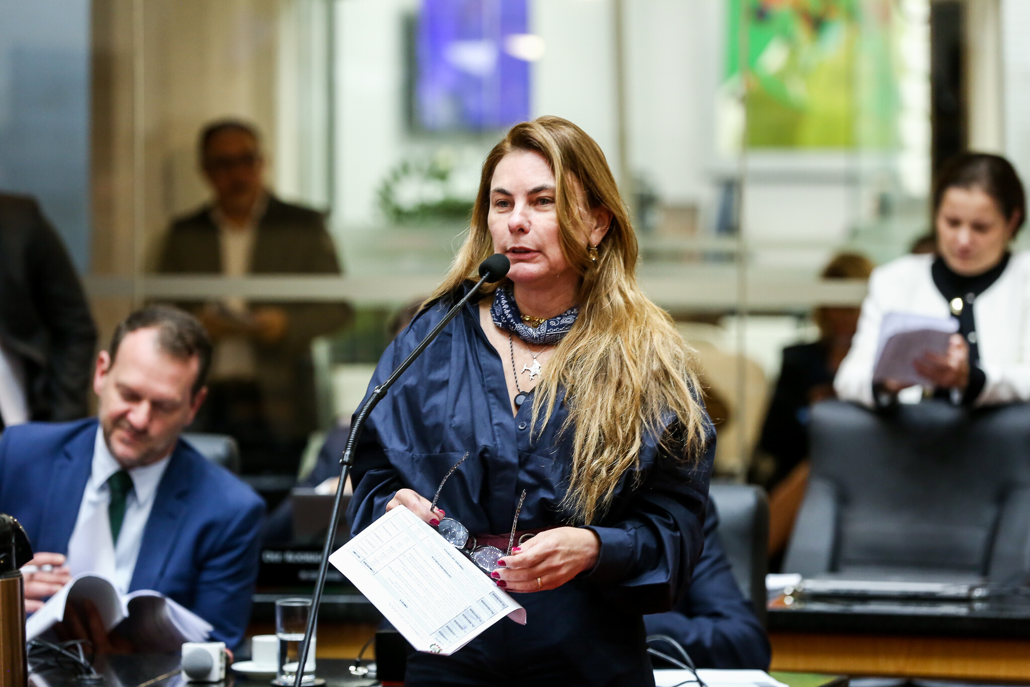 - Deputada Paulinha (Podemos)