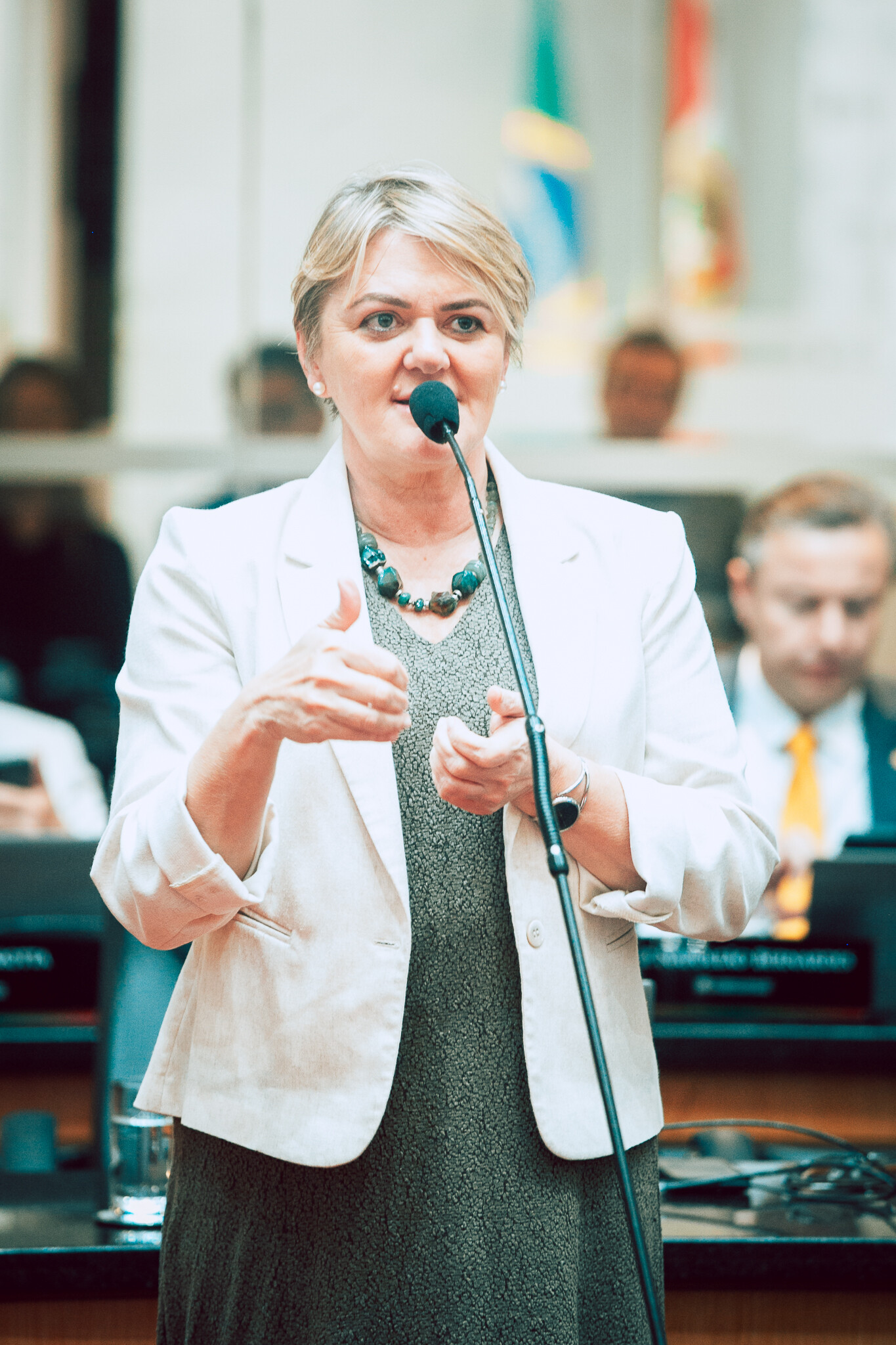 - Deputada Luciane Carminatti (PT)