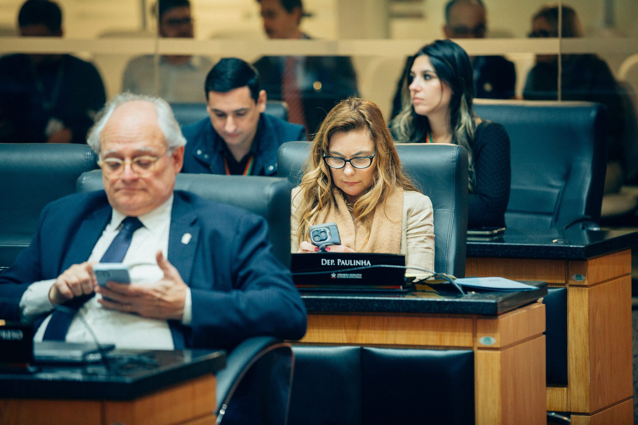 - Deputada Paulinha (Podemos)