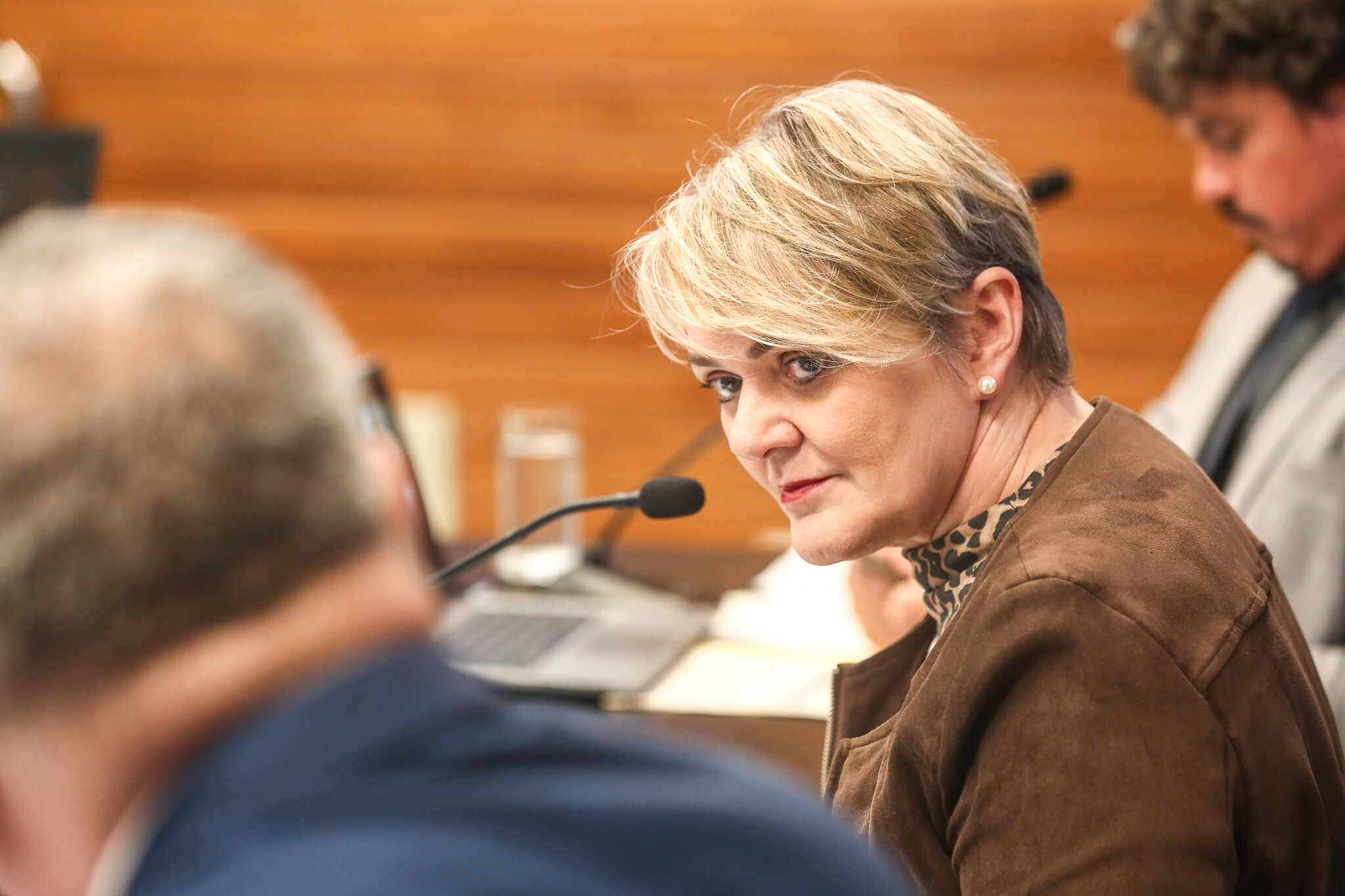 - Deputada Luciane Carminatti (PT)