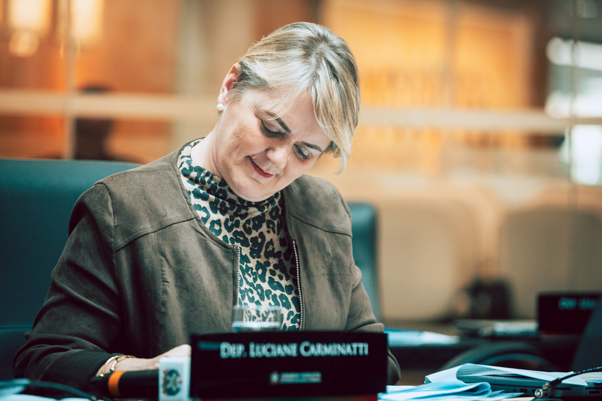 - Deputada Luciane Carminatti (PT)