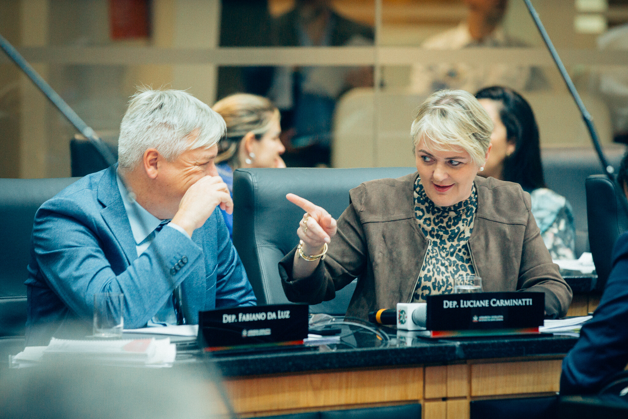 - Deputado Fabiano da Luz (PT) 	
 - Deputada Luciane Carminatti (PT)