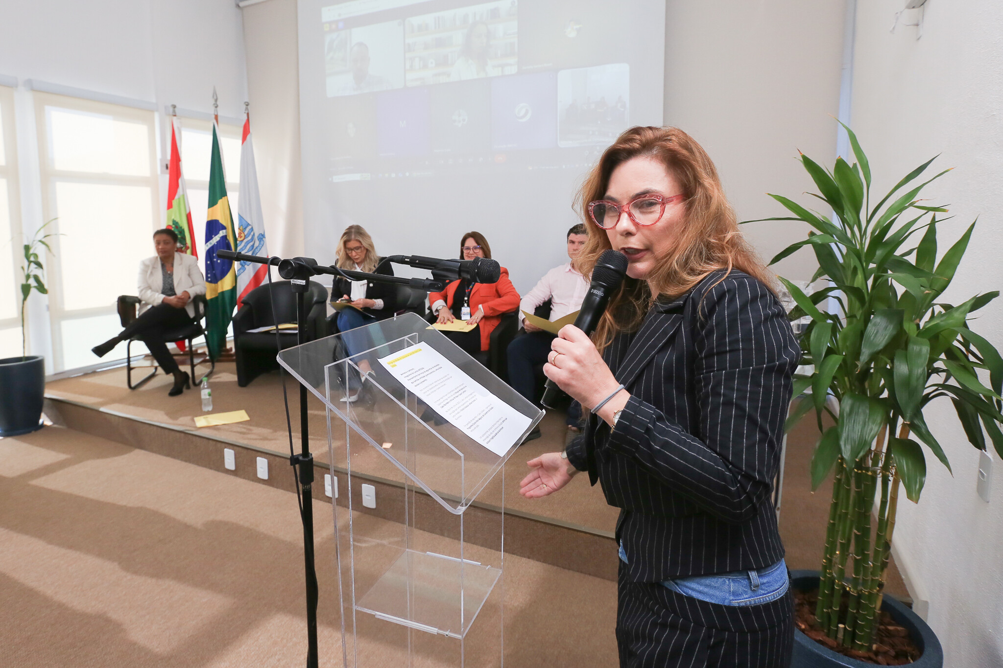 - Deputada Paulinha (Podemos)