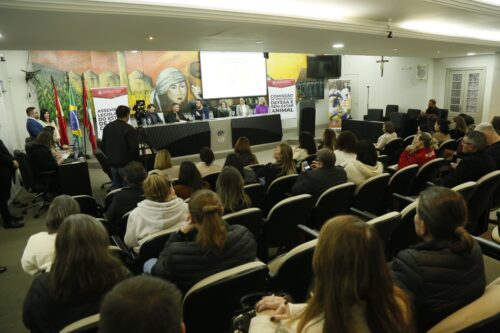 Audiência em Concórdia recebe demandas de entidades de proteção animal da região Oeste