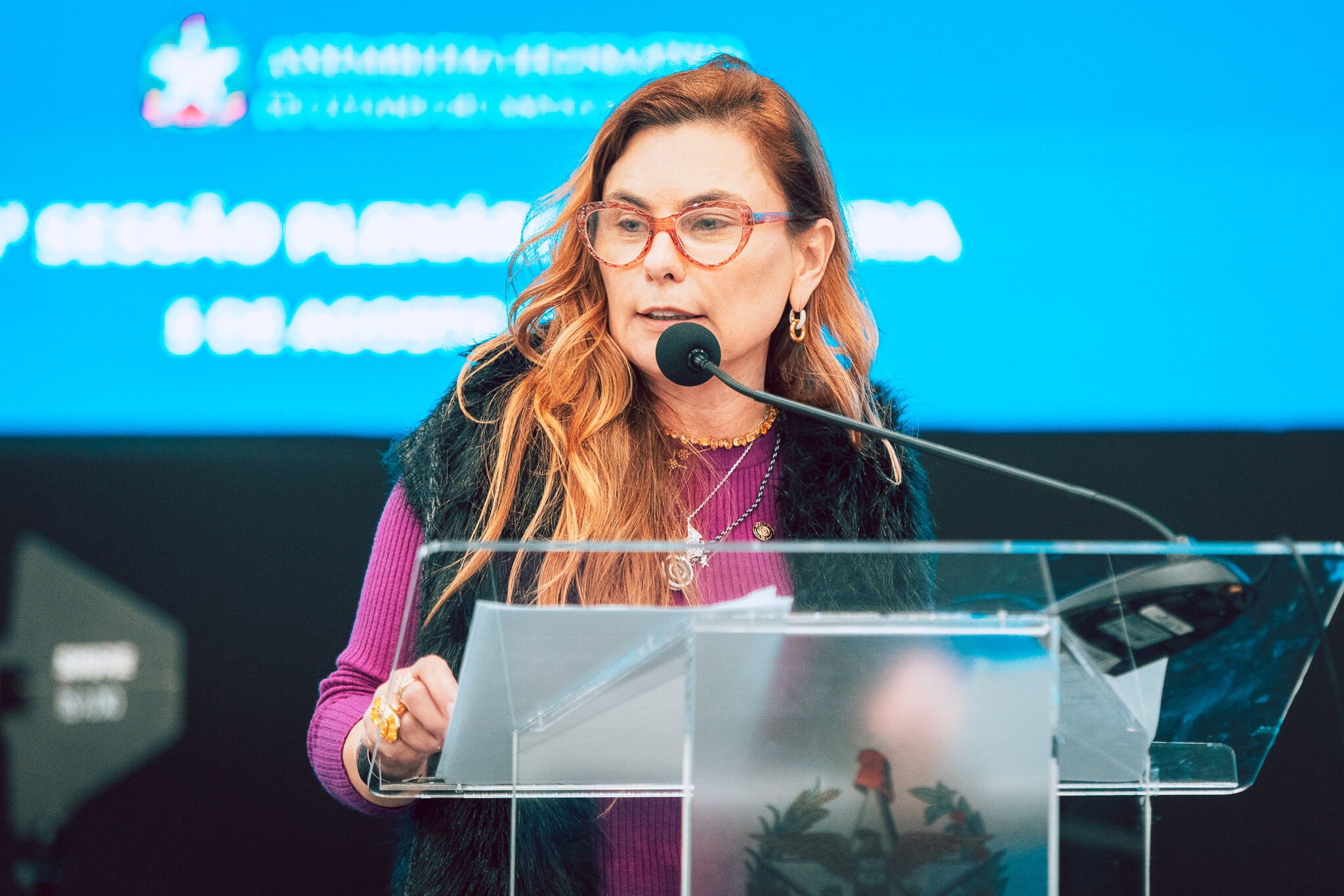 - Deputada Paulinha (Podemos)