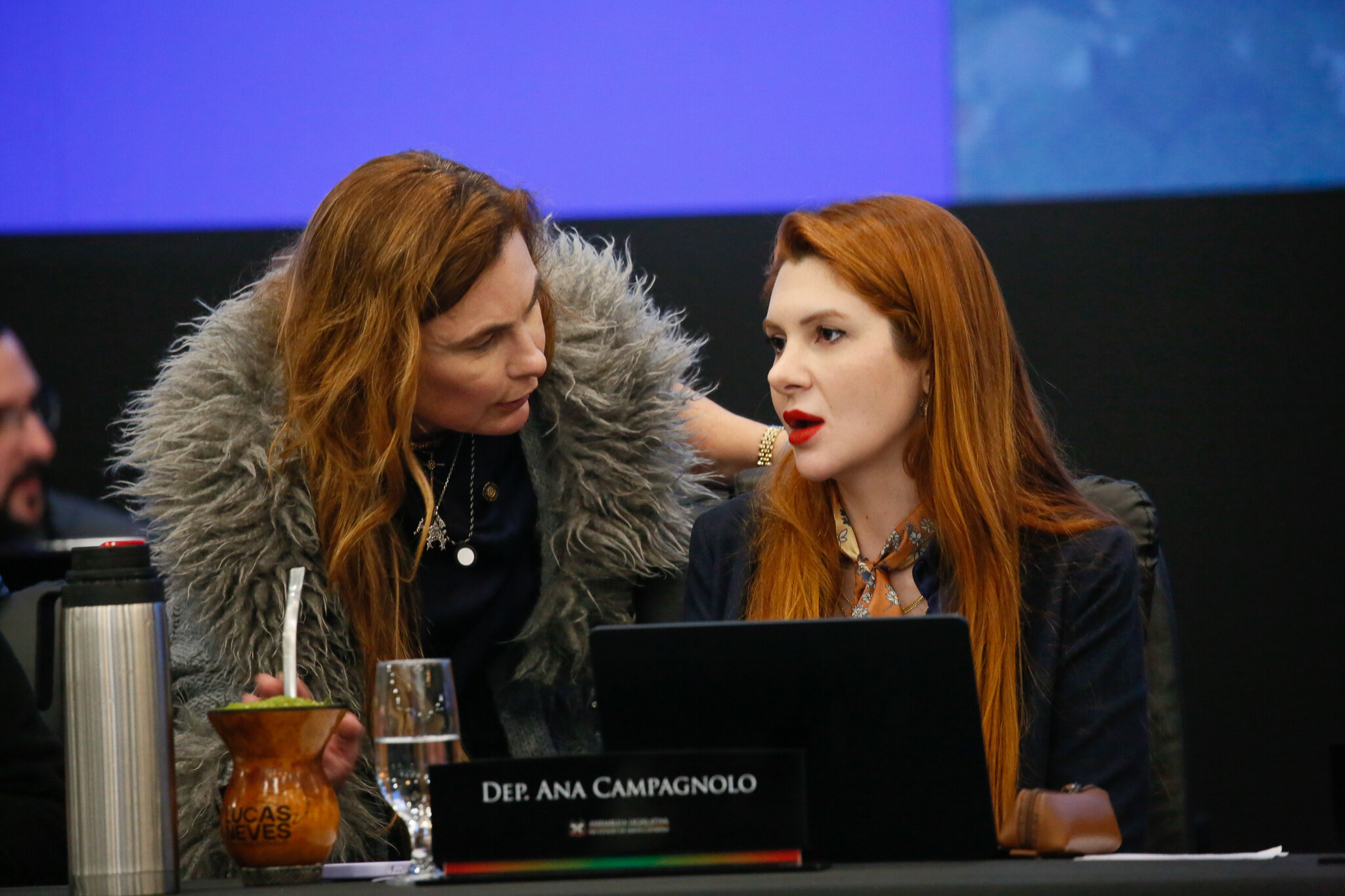 - Deputada Paulinha (Podemos) 	
- Deputada Ana Campagnolo (PL)