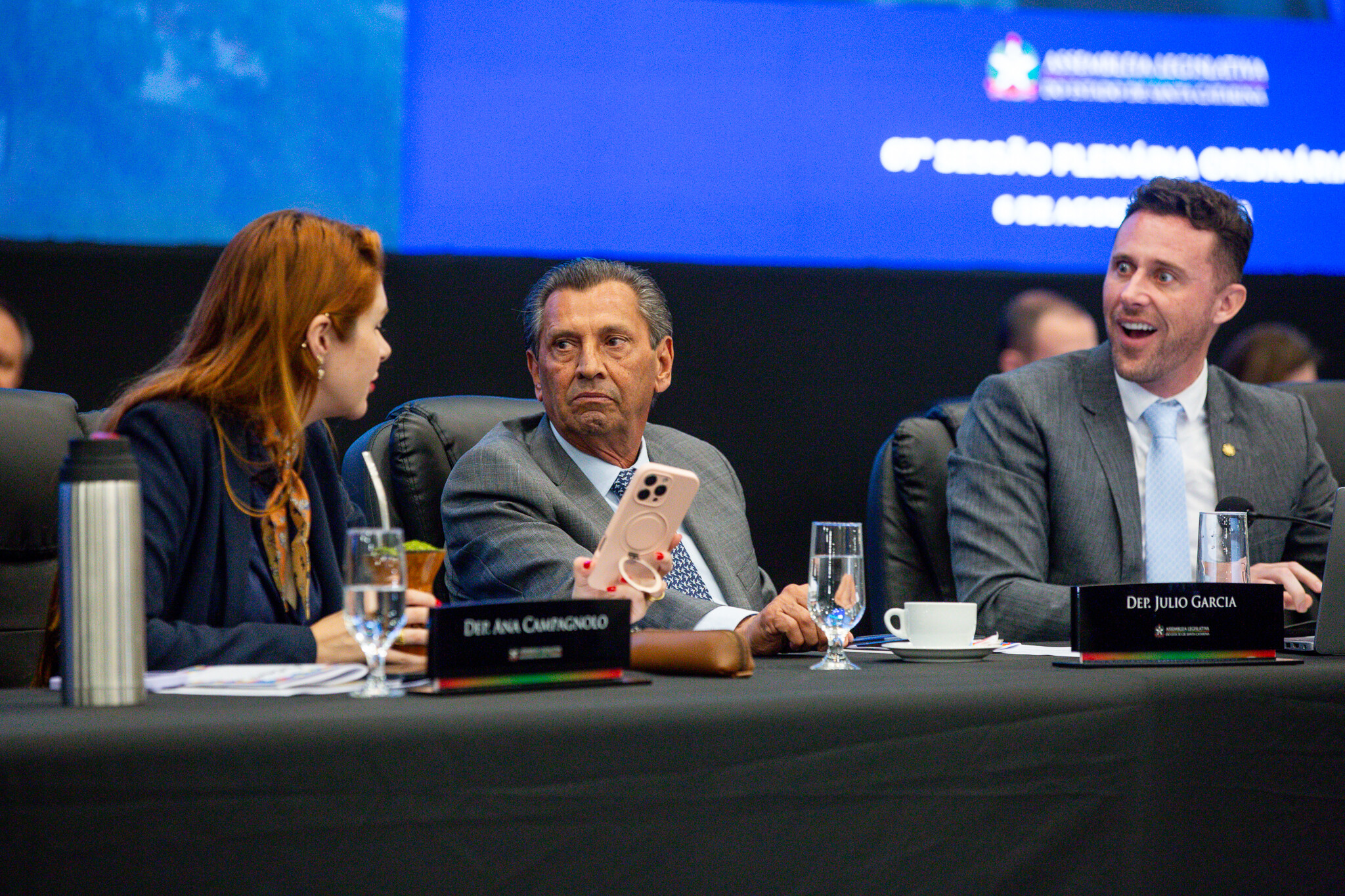 - Deputada Ana Campagnolo (PL)
- Deputado Julio Garcia (PSD) 	- Deputado Fernando Krelling (MDB)