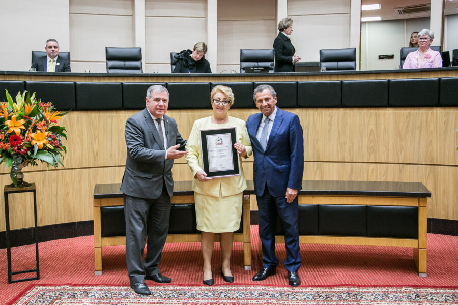 Os deputados Mário Motta e Julio Garcia entregam homenagem à presidente da AVOS, Zélia Maria Silva Rocha.