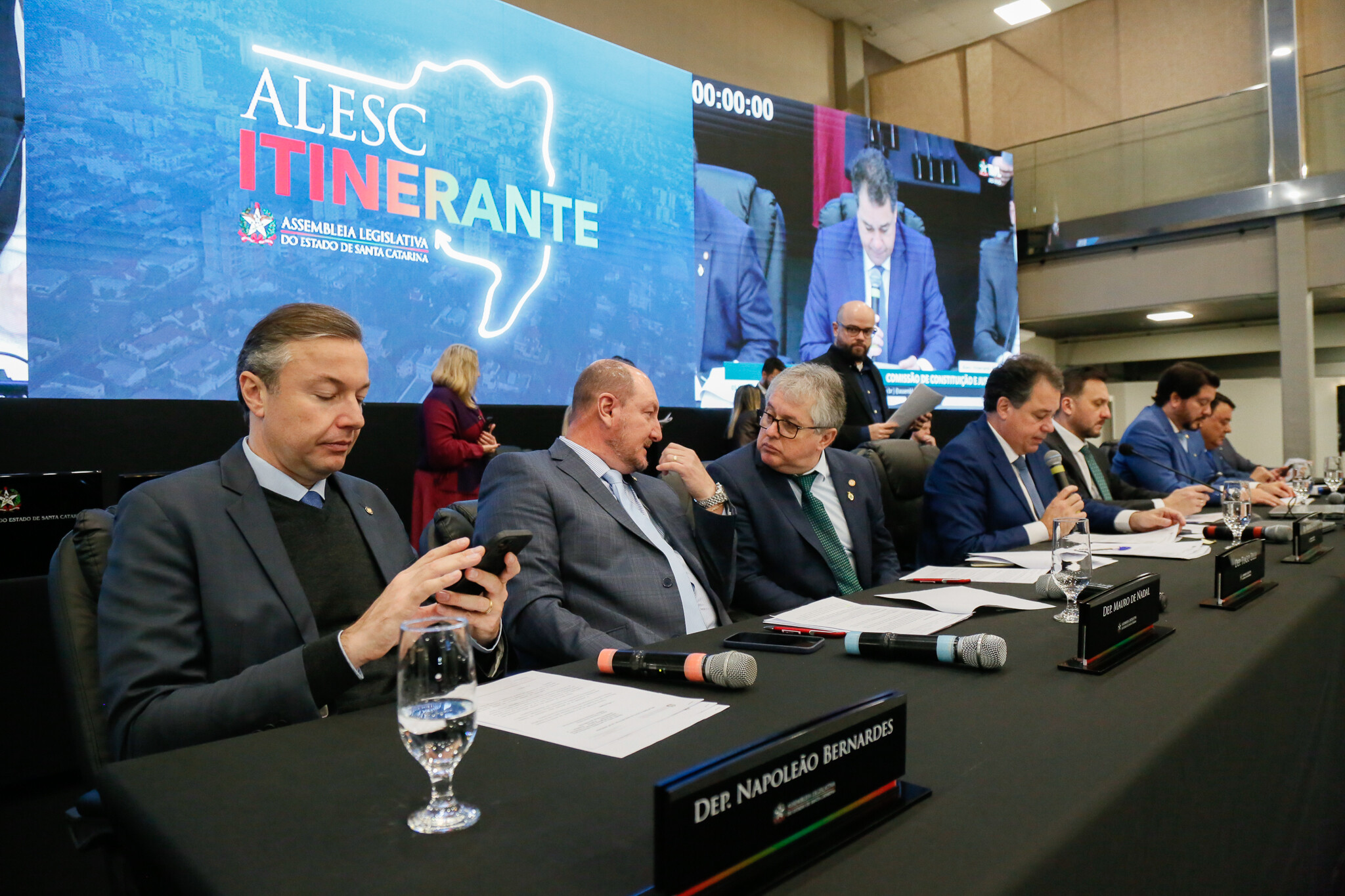 - Deputado Napoleão Bernardes (PSD)  - Deputado Mauro de Nadal (MDB) 	
	
  - Deputado Tiago Zilli (MDB)- Deputado Rodrigo Minotto (PDT)   - Deputado Pepê Collaço (PP)
- Deputado Alex Brasil (PL) - Deputado Mauricio Peixer (PL)