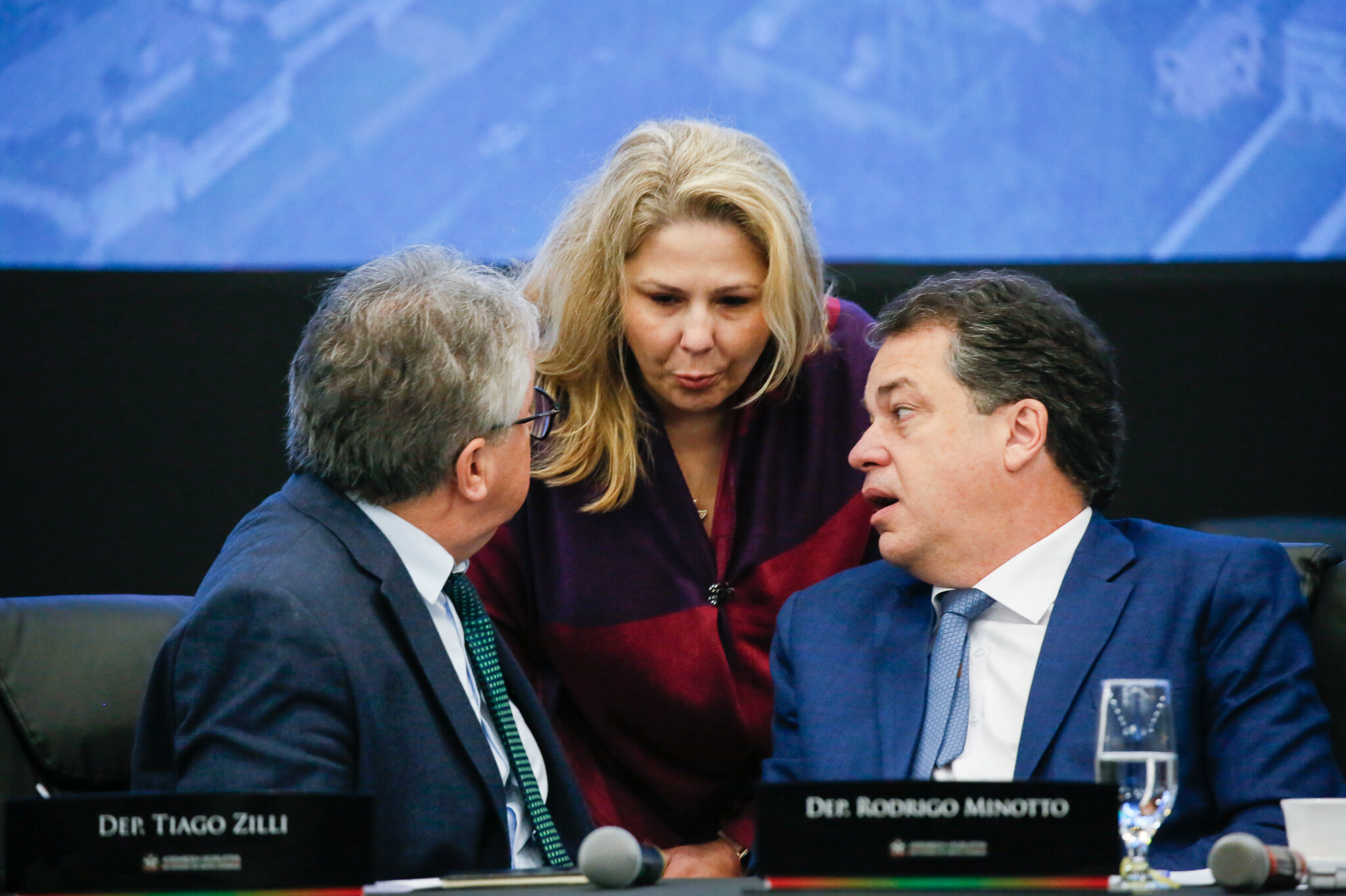 - Deputado Tiago Zilli (MDB)
 -Deputado Rodrigo Minotto (PDT)