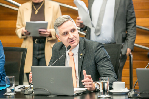 - Deputado Matheus Cadorin (NOVO)