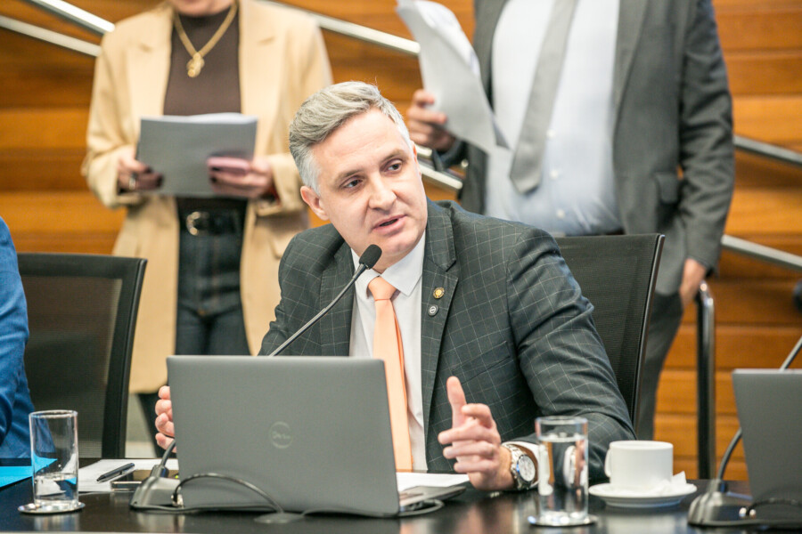 - Deputado Matheus Cadorin (NOVO)