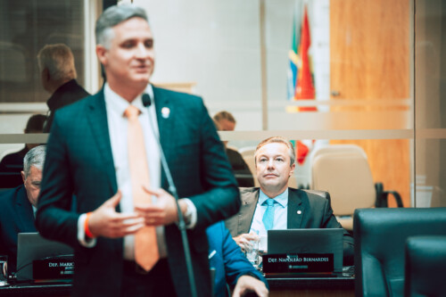 - Deputado Matheus Cadorin (NOVO)