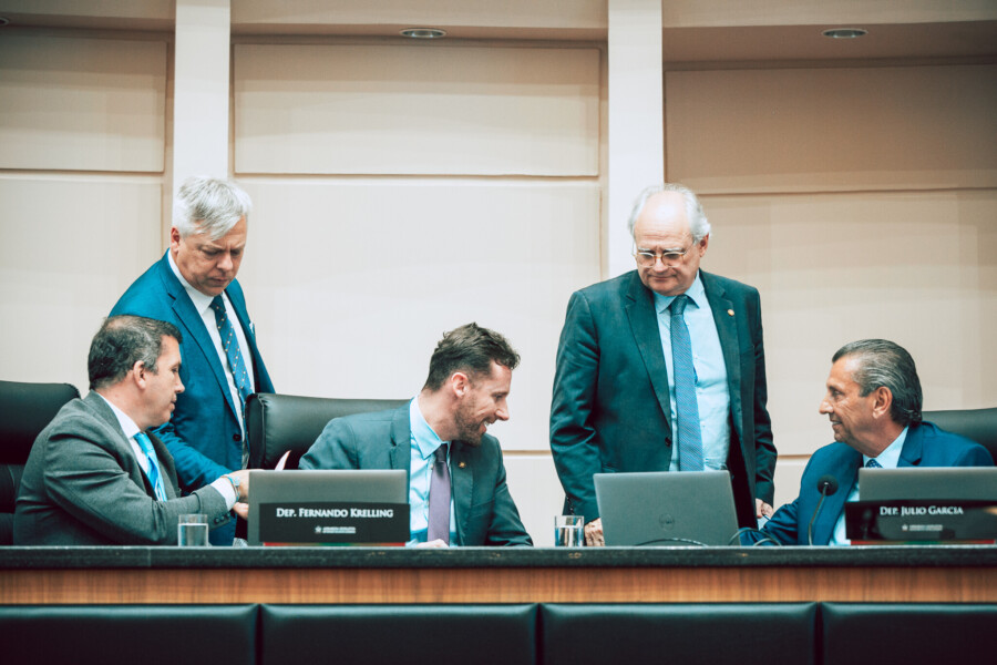 - Deputado Camilo Martins (Podemos) 	
- Deputado Fabiano da Luz (PT) 	- Deputado Fernando Krelling (MDB) - Deputado Dr. Vicente Caropreso (PSDB)  - Deputado Julio Garcia (PSD)