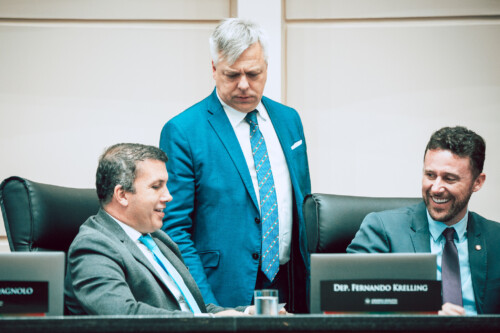 - Deputado Camilo Martins (Podemos) 	
- Deputado Fabiano da Luz (PT)