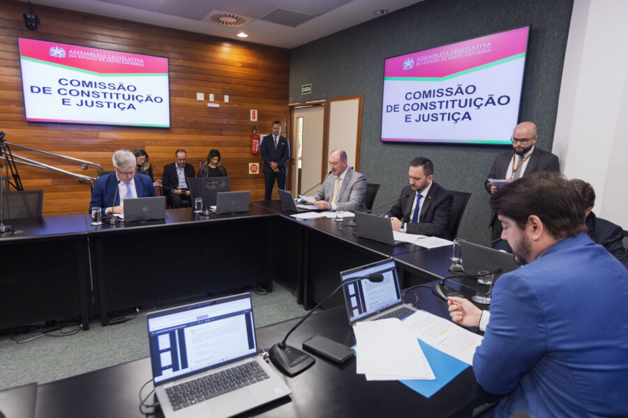 - Deputado Fabiano da Luz (PT) 	
- Deputado Mauro de Nadal (MDB)  - Deputado Pepê Collaço (PP)