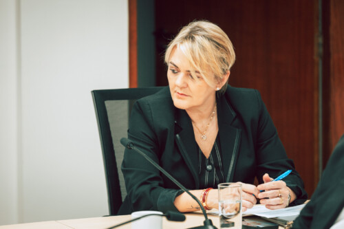 - Deputada Luciane Carminatti (PT)