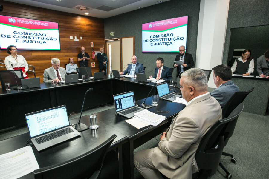 Deputado Mauro de Nadal (MDB) 	 - Deputado Pepê Collaço (PP) - Deputado Volnei Weber (MDB)
 - Deputado Mauricio Peixer (PL)	 - Deputado Sargento Lima (PL)  - Deputado Napoleão Bernardes (PSD) 	
	 - Deputado Fabiano da Luz (PT)